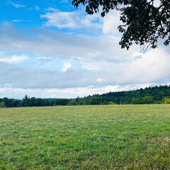 22-09-10 17-59-08 1976